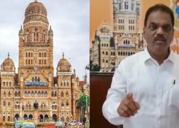 Mumbai Municipal Corporation spent Rs 1 cr for rat killing