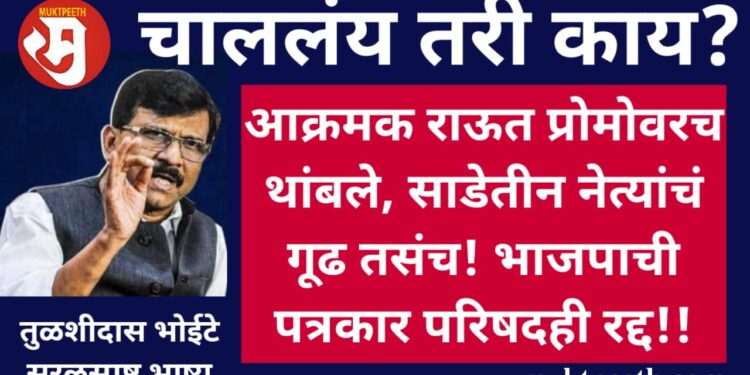 sanjay raut bjp mystery pc