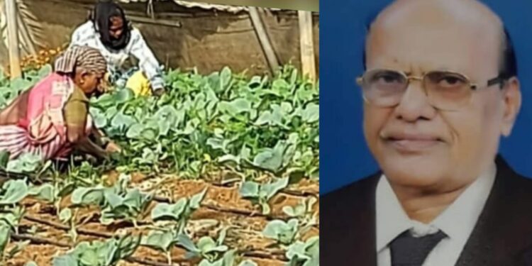 Prof. Kashiram Vanjaris 'Akole Pattern' to keep the farmers alive