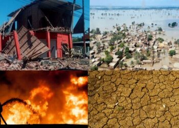 disaster management studies