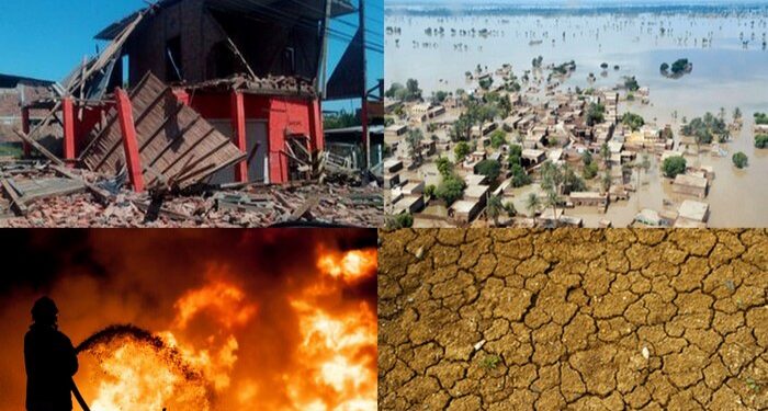 disaster management studies