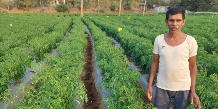 Jawahar tribal people