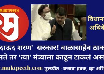 ‘हे’ दाऊद शरण सरकार! बाळासाहेब ठाकरे असते तर मंत्र्याला काढून टाकले असते! – फडणवीस