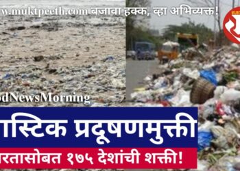 प्लास्टिक प्रदूषणमुक्ती, भारतासोबत १७५ देशांची शक्ती!