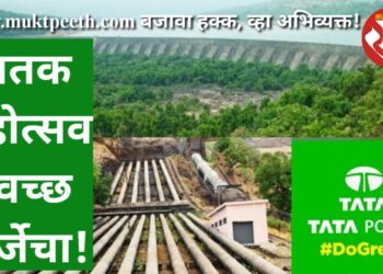 शतक महोत्सव स्वच्छ ऊर्जेचा!