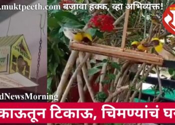 टाकाऊतून टिकाऊ, चिमण्यांचं घरटं!