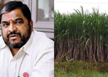 Raju Shetti Sugarcane FRP