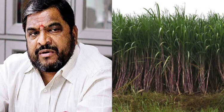 Raju Shetti Sugarcane FRP