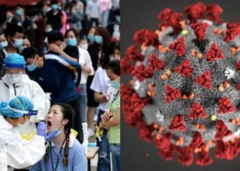 526 new corona cases in wuhan in a single day