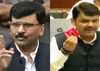 Devendra fadnavis Ans sanjay raut