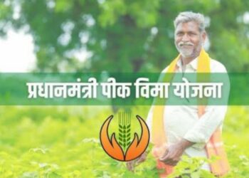 Crop insurance policy