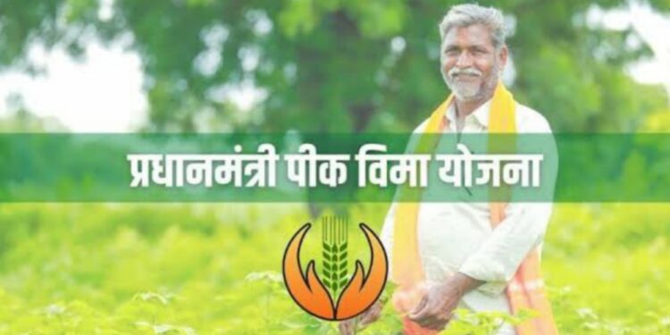 Crop insurance policy