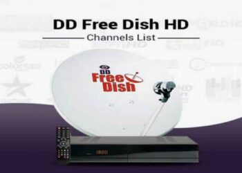DD Freedish Service