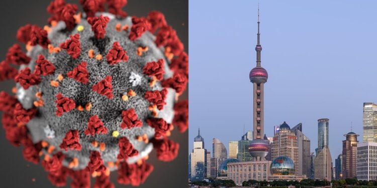 shanghai corona cases