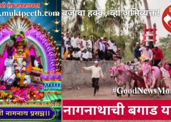 नागनाथाची बगाड यात्रा!