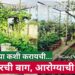 समजून घ्या कशी करायची… गच्चीवरची बाग, आरोग्याची खाण!