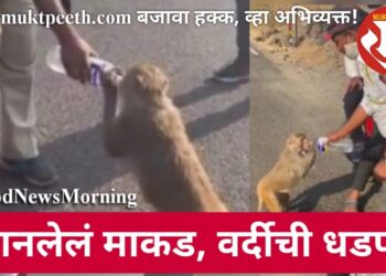 तहानलेलं माकड, वर्दीची धडपड!