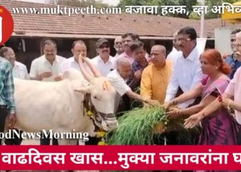 एक वाढदिवस खास…मुक्या जनावरांना घास!