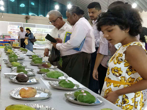 Global Kokan Mango Fest 2019