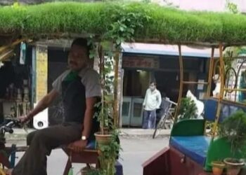 green grass on the roof to of rickshaw warm in summer