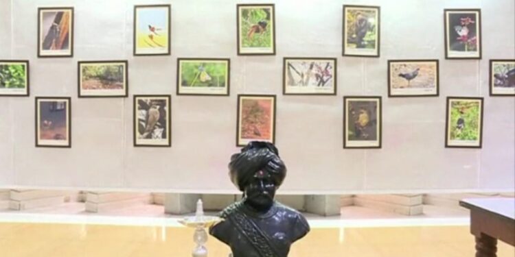 Kolhapur Wild Life Photography