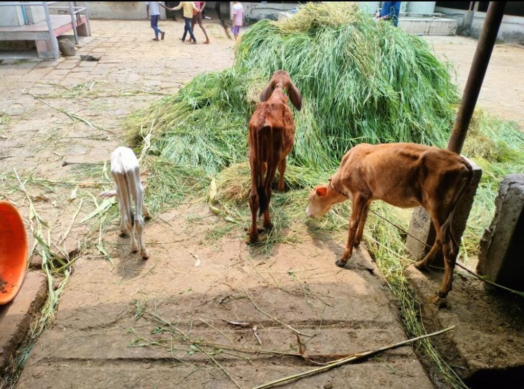  Kolhapur