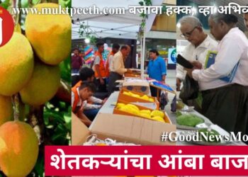 शेतकरी आंबा बाजार ठाणे : आजवर चाखले नसतील ते आंबेही!