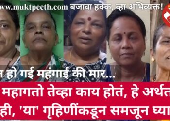गॅस महागतो तेव्हा काय होतं, हे अर्थतज्ज्ञ नाही, ‘या’ गृहिणींकडून समजून घ्या…