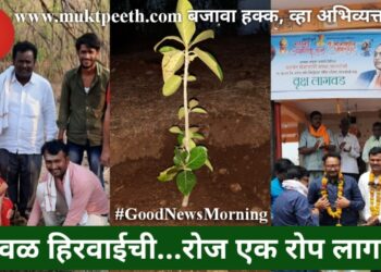 चळवळ हिरवाईची…रोज एक रोप लागवड!