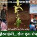 चळवळ हिरवाईची…रोज एक रोप लागवड!