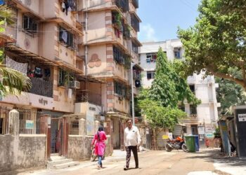 What to do in summer