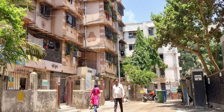 What to do in summer