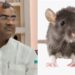 up minister girish chandra was bitten by rat