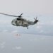 Successfull testing of Seaking 42b