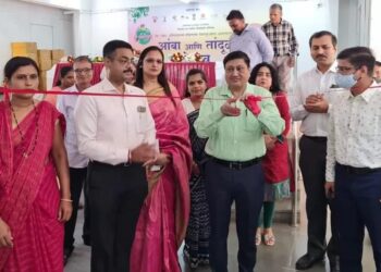 तांदूळ आणि आंबा महोत्सव