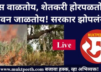 #मुक्तपीठ #Live ऊस वाळतोय, शेतकरी होरपळतोय, जीवन जाळतोय! सरकार झोपलंय?