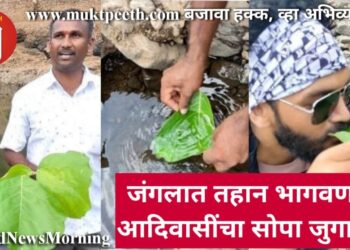 जंगलात तहान भागवणारा आदिवासींचा सोपा जुगाड