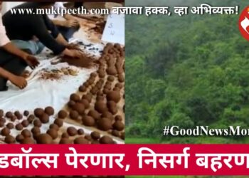 सीडबॉल्स पेरणार, निसर्ग बहरणार!