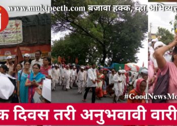 एक दिवस तरी अनुभवावी वारी…