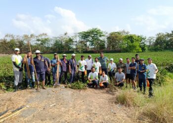 Environment Life Foundation