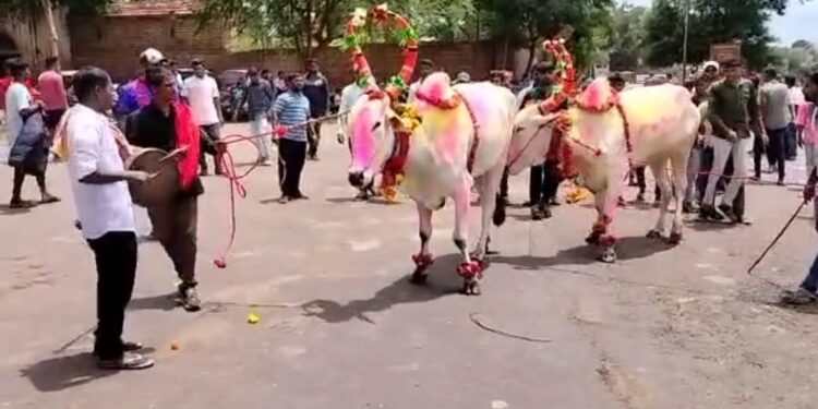 बेंदूर सण