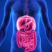 digestion