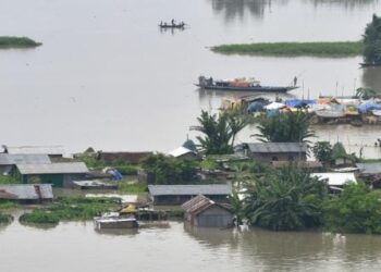 Assam flood