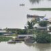 Assam flood