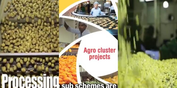 central food processing industry ministry