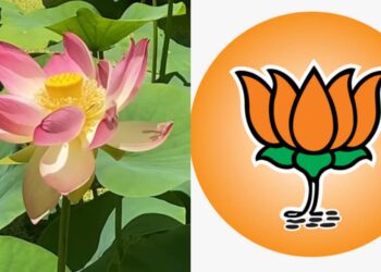 BJP Lotus