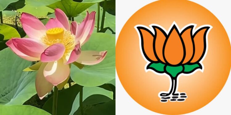 BJP Lotus