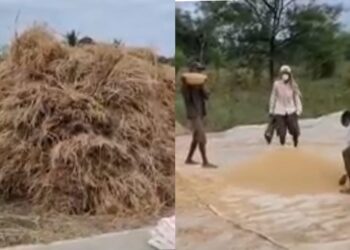 mps increased for farmers, know what is msp in marathi