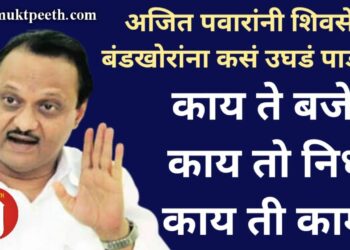 अजित पवार यांनी विधानसभेत शिवसेना बंडखोरांना कसं उघडं पाडलं?  काय ते बजेट…काय तो निधी…काय ती कामं!