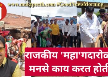 राजकीय ‘महा’गदारोळात मनसे काय करत होती?